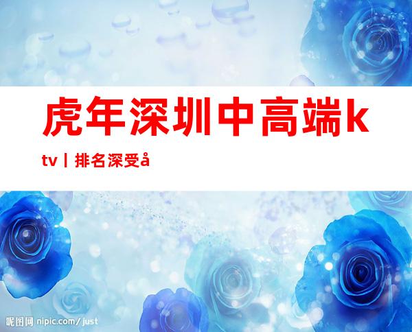 虎年深圳中高端ktv丨排名深受当地人的喜爱