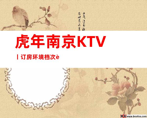 虎年南京KTV丨订房环境档次豪华大气