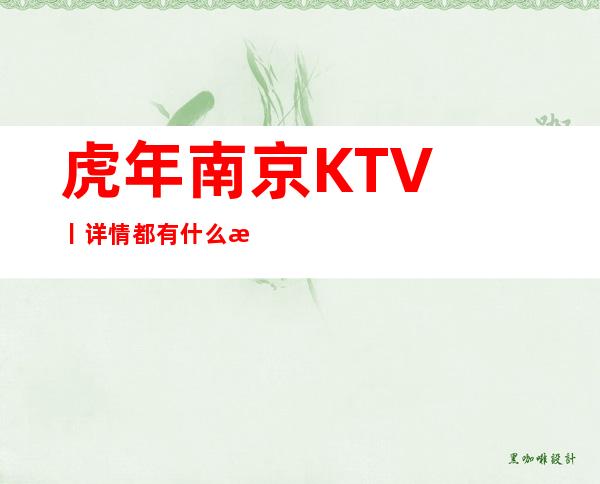 虎年﻿南京KTV丨详情都有什么服务