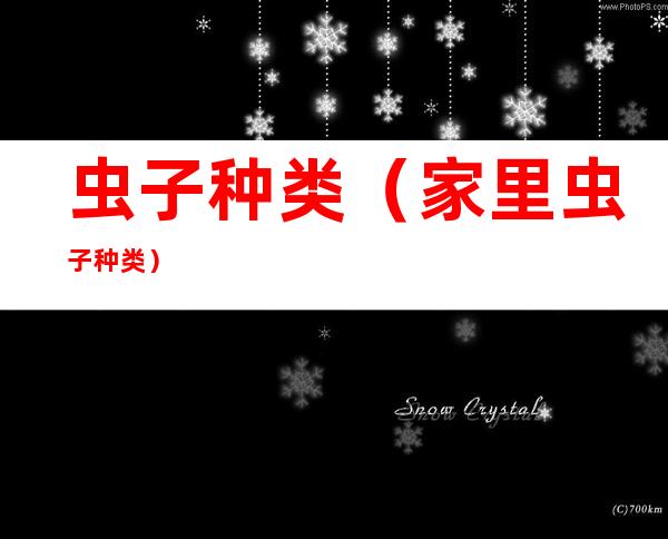 虫子种类(家里虫子种类)