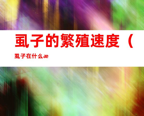 虱子的繁殖速度(虱子在什么情况下繁殖的更快)
