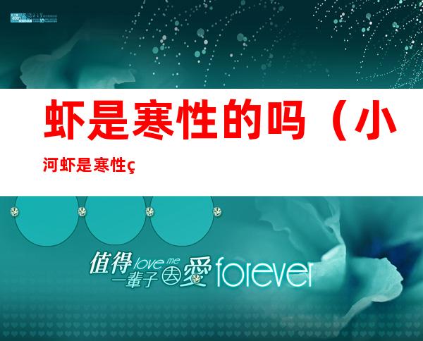 虾是寒性的吗(小河虾是寒性的吗)