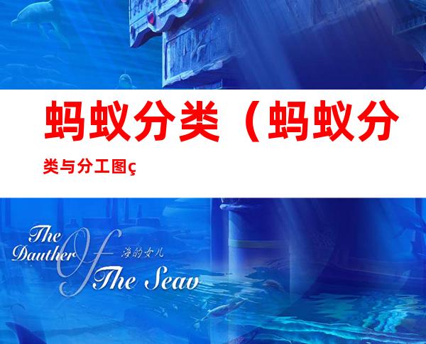 蚂蚁分类(蚂蚁分类与分工图片)
