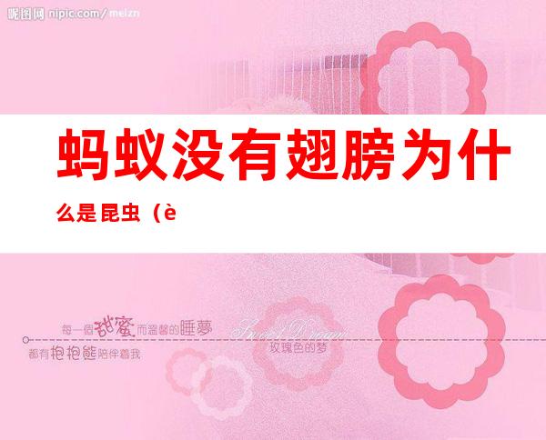 蚂蚁没有翅膀为什么是昆虫(蚂蚁幼虫有翅膀吗)