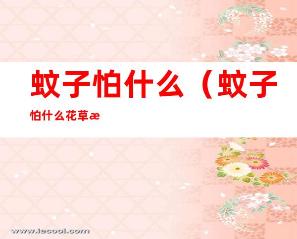 蚊子怕什么（蚊子怕什么花草植物）