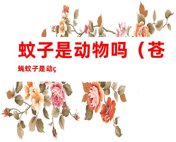 蚊子是动物吗（苍蝇蚊子是动物吗）