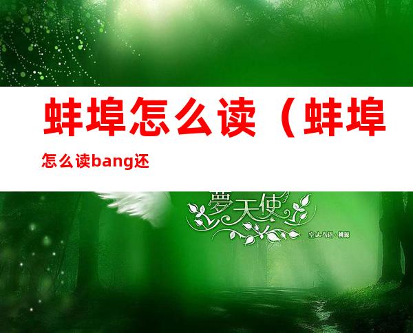 蚌埠怎么读(蚌埠怎么读bang还是beng)