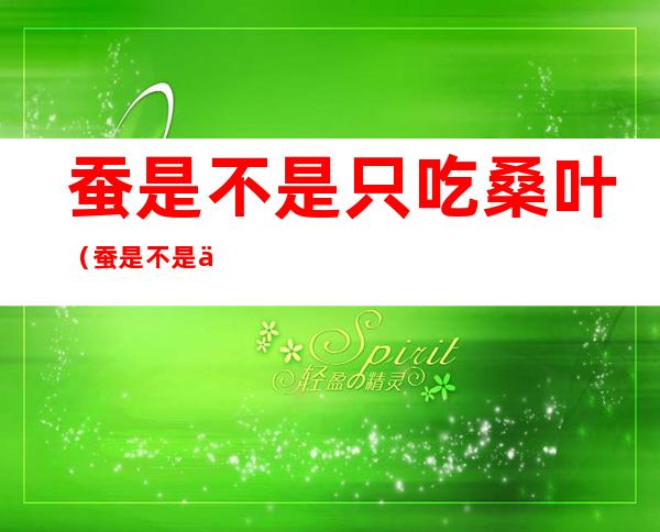 蚕是不是只吃桑叶(蚕是不是一定要吃桑叶)