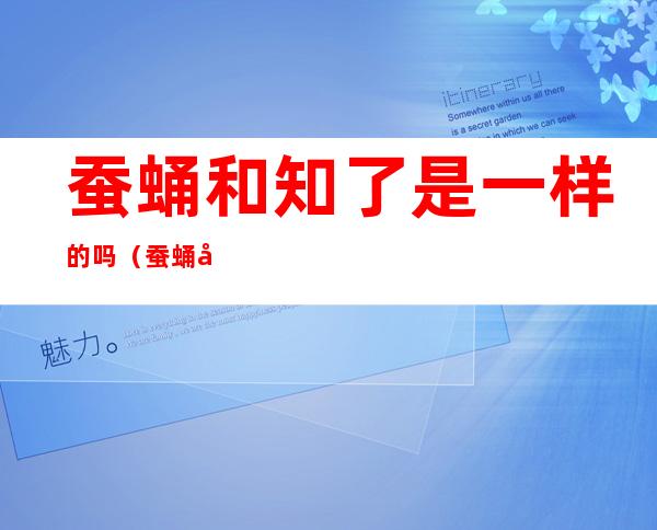 蚕蛹和知了是一样的吗(蚕蛹和知了有什么区别)