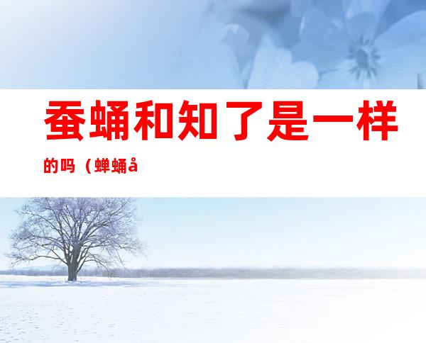蚕蛹和知了是一样的吗(蝉蛹和知了是一样的吗)