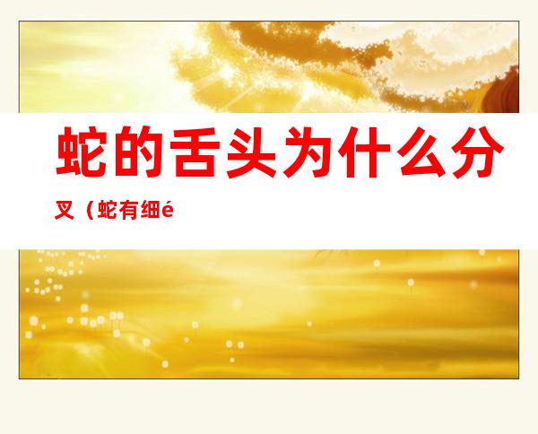 蛇的舌头为什么分叉(蛇有细长而分叉的舌头)
