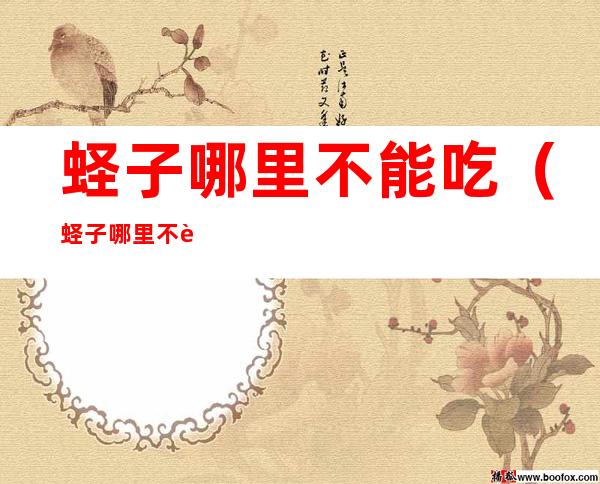 蛏子哪里不能吃(蛏子哪里不能吃视频)