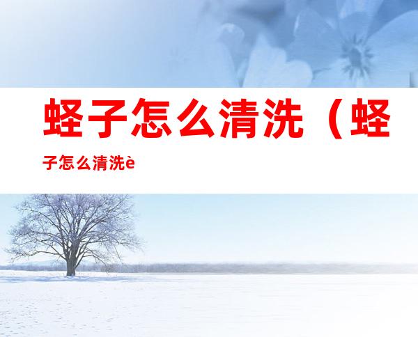 蛏子怎么清洗(蛏子怎么清洗视频)