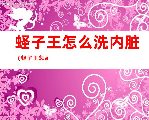 蛏子王怎么洗内脏(蛏子王怎么洗内脏好)