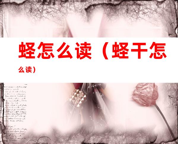 蛏怎么读(蛏干怎么读)