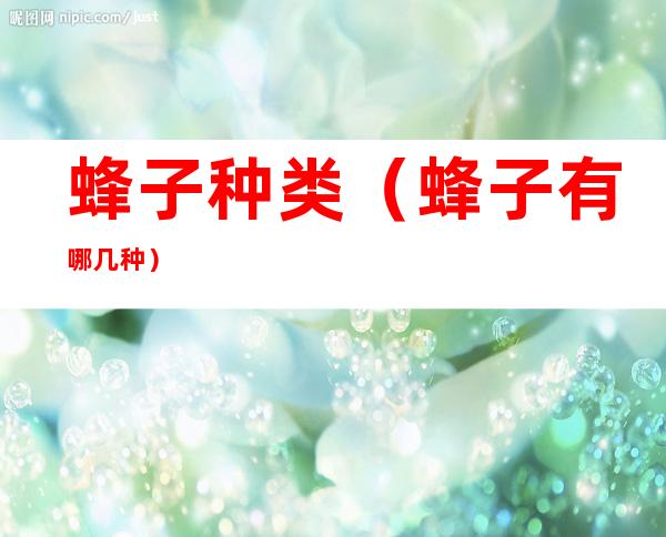 蜂子种类（蜂子有哪几种）