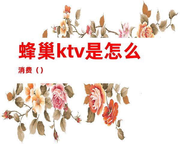 蜂巢ktv是怎么消费（）