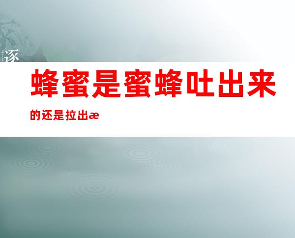 蜂蜜是蜜蜂吐出来的还是拉出来的(蜂蜜是蜜蜂吐出来的还是拉出来的好)