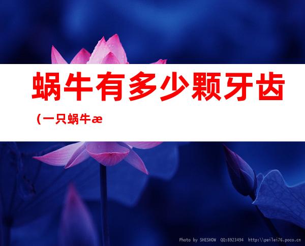 蜗牛有多少颗牙齿(一只蜗牛有多少颗牙齿)