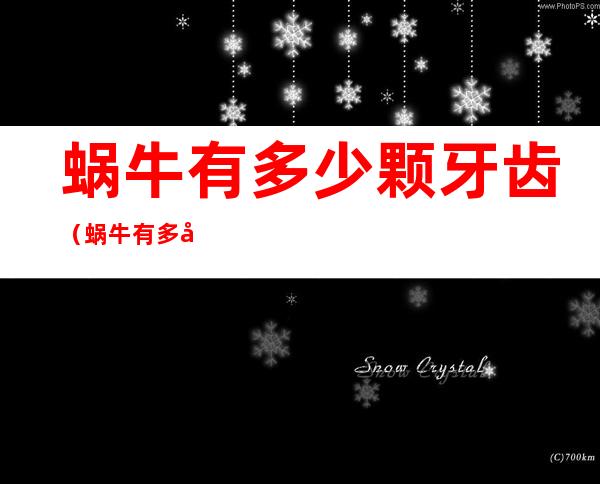 蜗牛有多少颗牙齿(蜗牛有多少条腿)