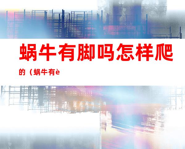 蜗牛有脚吗?怎样爬的(蜗牛有脚吗怎样爬的)
