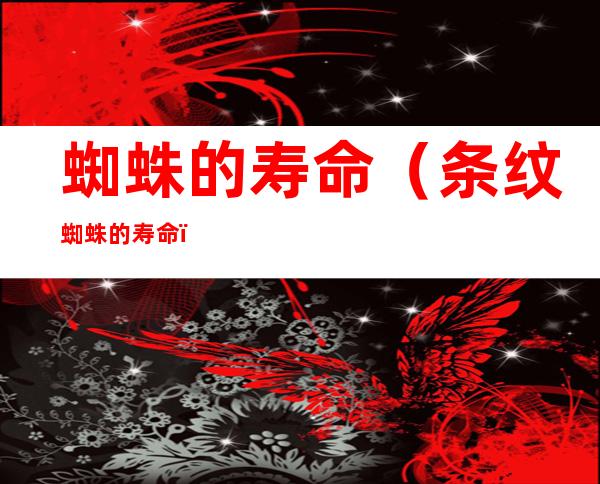蜘蛛的寿命(条纹蜘蛛的寿命)