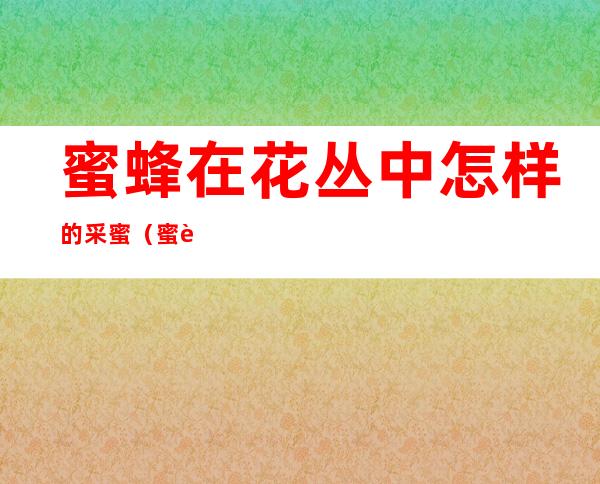 蜜蜂在花丛中怎样的采蜜(蜜蜂在花丛中怎样的采蜜填动词)