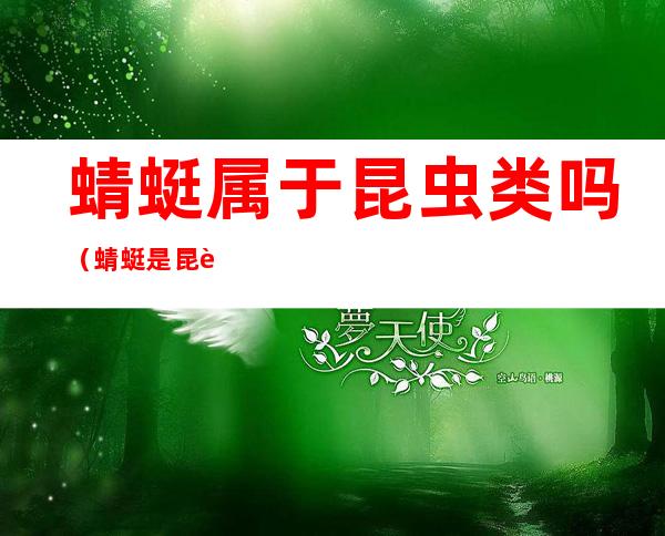 蜻蜓属于昆虫类吗(蜻蜓是昆虫类吗)