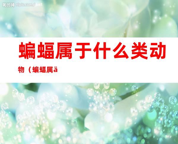 蝙蝠属于什么类动物（蝙蝠属于什么类）