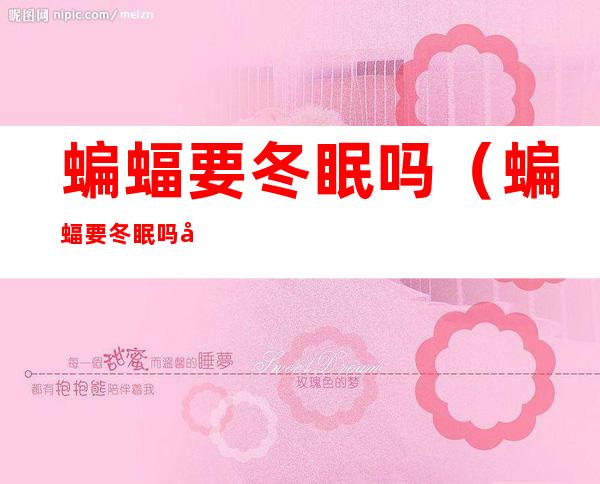 蝙蝠要冬眠吗(蝙蝠要冬眠吗在什么地方)