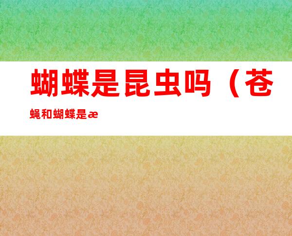 蝴蝶是昆虫吗(苍蝇和蝴蝶是昆虫吗)