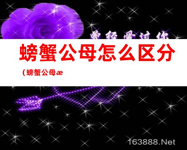 螃蟹公母怎么区分(螃蟹公母怎么区分看屁股)