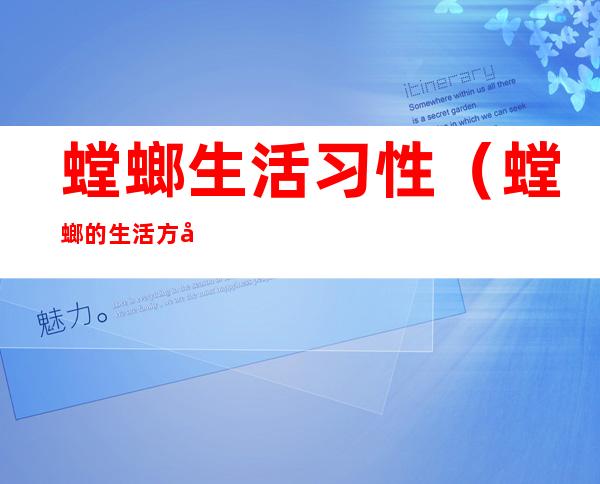 螳螂生活习性(螳螂的生活方式及特点)