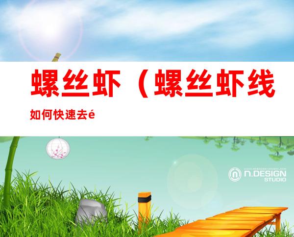 螺丝虾(螺丝虾线如何快速去除)