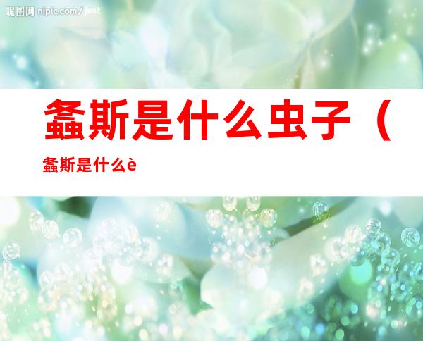 螽斯是什么虫子(螽斯是什么虫子视频)