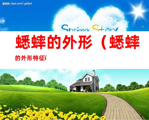 蟋蟀的外形(蟋蟀的外形特征)