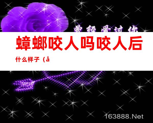蟑螂咬人吗?咬人后什么样子?(北方蟑螂咬人吗?咬人后什么样子?)