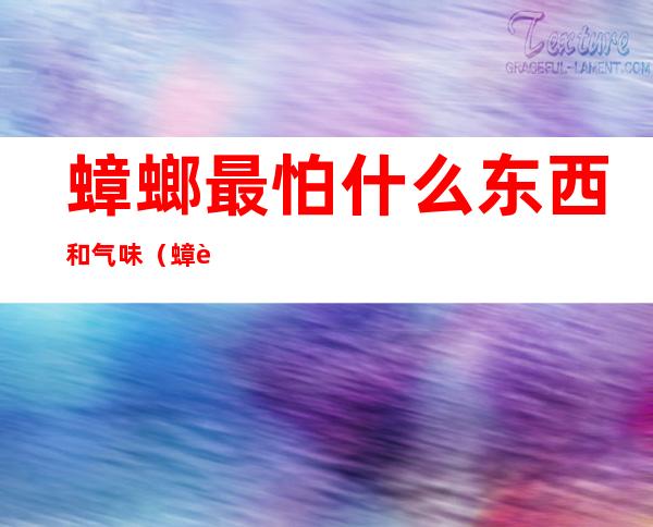 蟑螂最怕什么东西和气味(蟑螂最害怕什么气味)