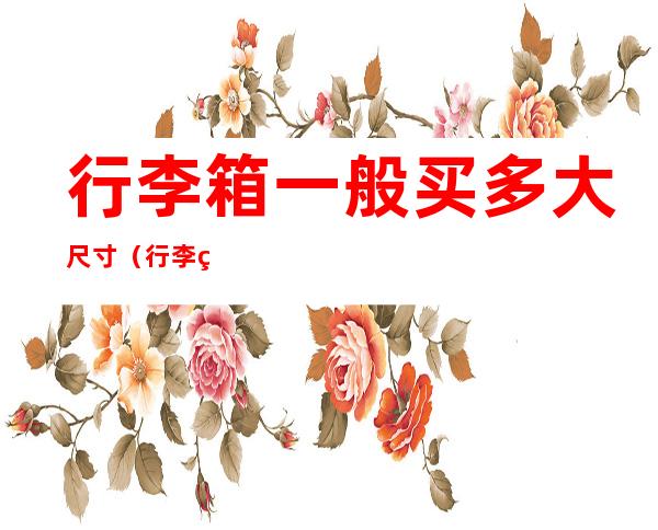 行李箱一般买多大尺寸(行李箱一般买多大尺寸上飞机)