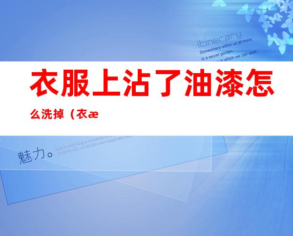 衣服上沾了油漆怎么洗掉(衣服沾有油漆怎么洗掉)
