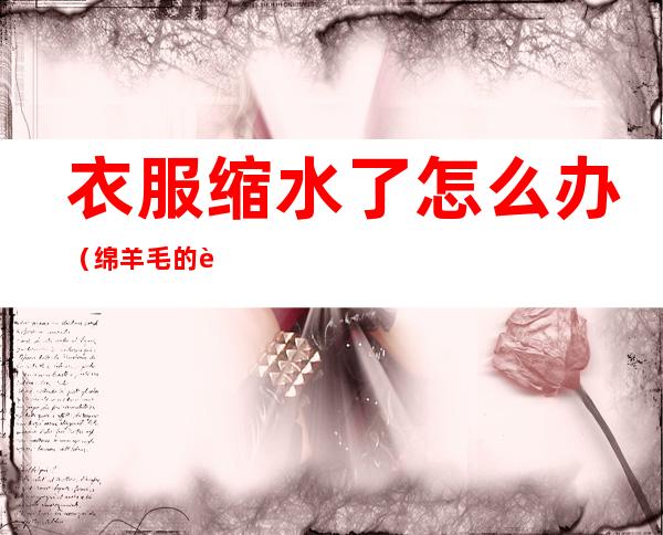 衣服缩水了怎么办(绵羊毛的衣服缩水了怎么办)