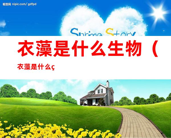 衣藻是什么生物（衣藻是什么生物?是原核还是真核生物）