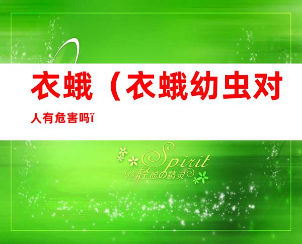 衣蛾(衣蛾幼虫对人有危害吗)