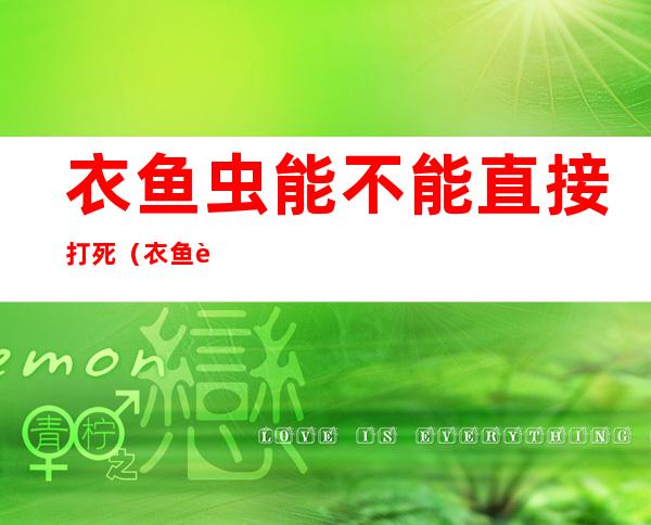 衣鱼虫能不能直接打死(衣鱼虫能不能直接打死呢)