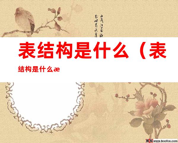 表结构是什么(表结构是什么模型)