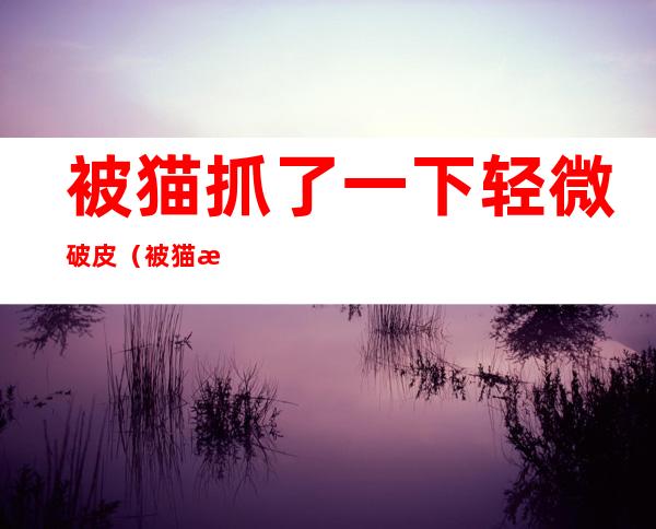 被猫抓了一下轻微破皮（被猫抓了一下轻微破皮过了24小时）