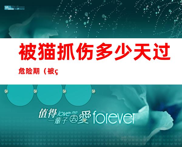 被猫抓伤多少天过危险期(被猫抓伤多少天过危险期是家猫没打过疫苗)