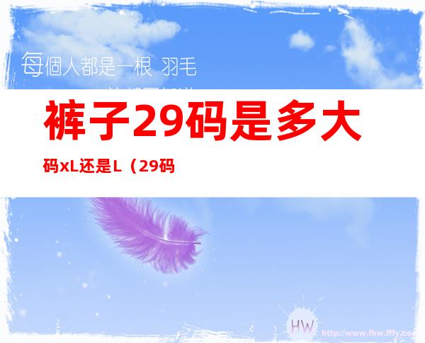 裤子29码是多大码xL还是L(29码的裤子对应的是xl码还是l码)