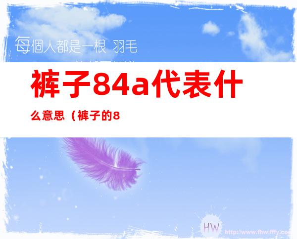 裤子84a代表什么意思（裤子的82a是什么意思）
