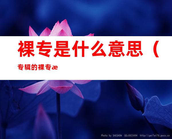 裸专是什么意思(专辑的裸专是什么意思)